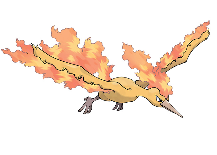 Flame Pokémon Moltres